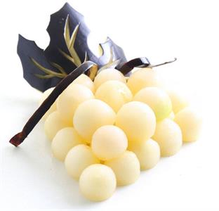 SCAVINO MELONE DOPPIO MM.22-MM.25 856000 HENDI