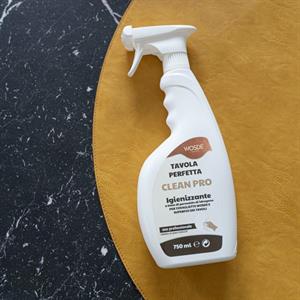 IGIENIZZANTE SPRAY CLEAN PRO ML.750 X TOVAGLIETTE WOSDE