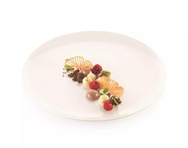 STAMPO GINKO SILICONE 6+8 CM.12,1X7,6-6,7X6,4 33.335.36.0065