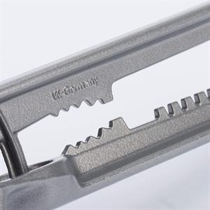 SPREMIAGLIO EXTRACTA          30002260      WESTMARK