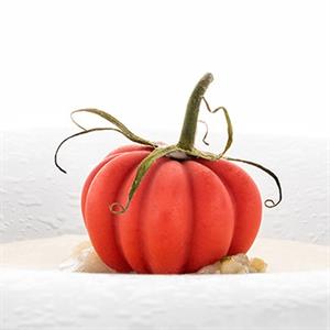STAMPO SILICONE N.12 POMODORO CM.4,3 H.2,8