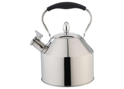 BOLLITORE CON FISCHIO LT.3,3 013752 EVA