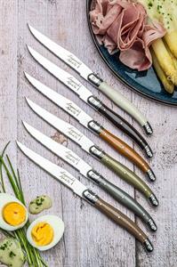 SET 6 COLTELLI BISTECCA TREASURE 4106205 PREMIUM LINE